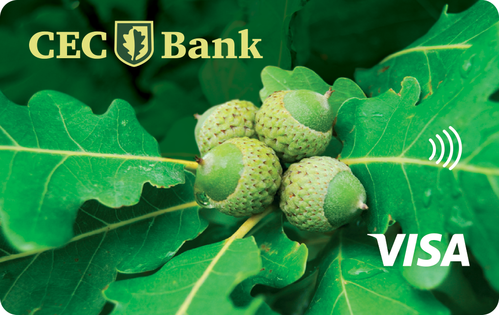 card debit - persoane fizice - visa electron