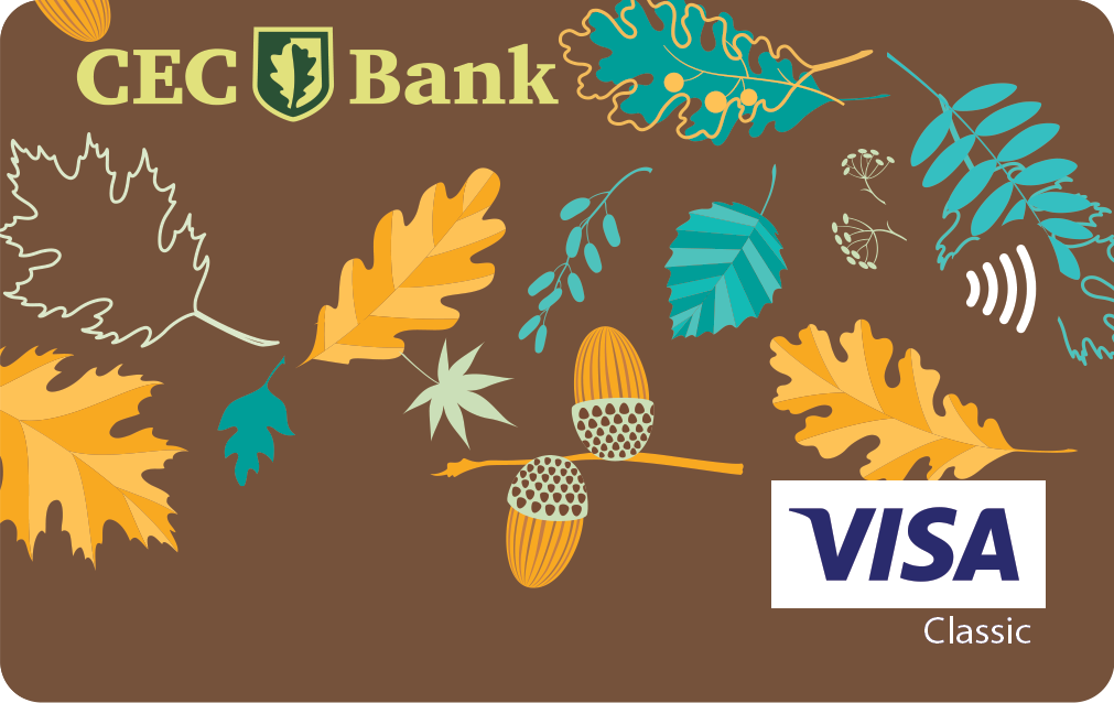 card debit - persoane fizice- visa classic