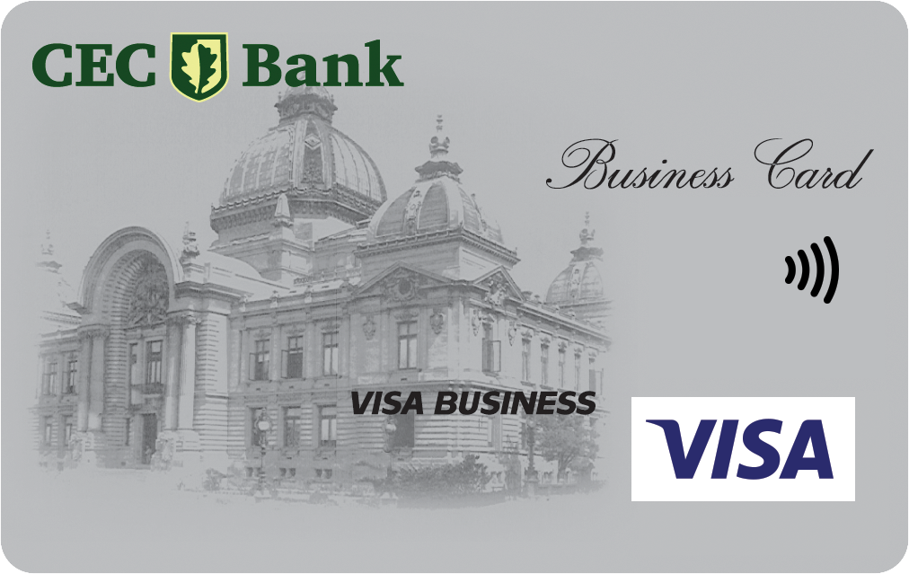 card-debit-visa-business