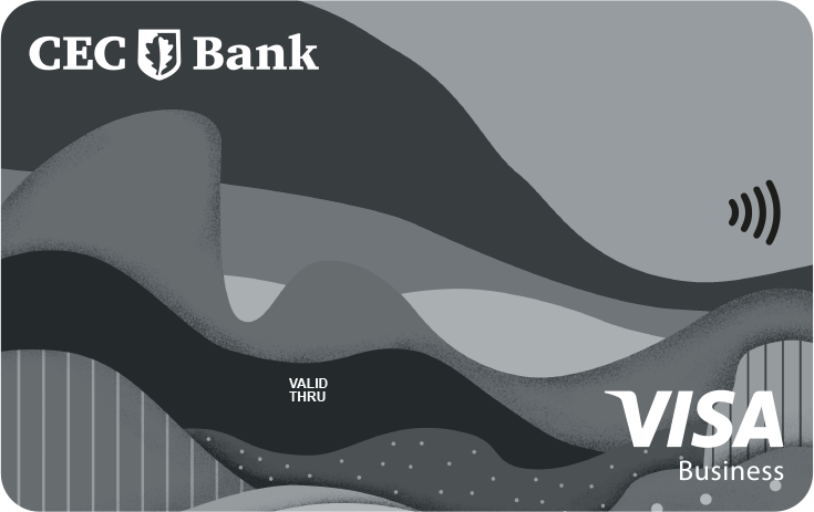 Card credit Visa Business