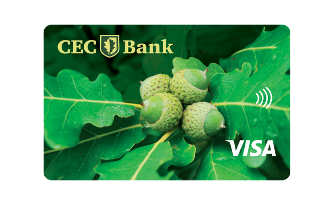card visa verde