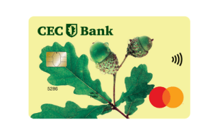 trimiteri card debit persoane fizice mastercard .png trimiteri card debit persoane fizice mastercard
