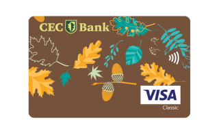 trimiteri card debit persoane fizice visa classic .png trimiteri card debit persoane fizice visa classic