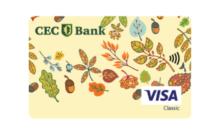trimiteri card debit persoane fizice visa classic tineri.png trimiteri card debit persoane fizice visa classic tineri