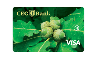 trimiteri card debit persoane fizice visa.png trimiteri card debit persoane fizice visa