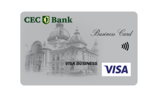 trimiteri card debit visa business