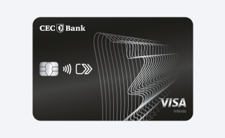 VIsa Infinite