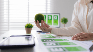 Creditele SME Eco-Tech