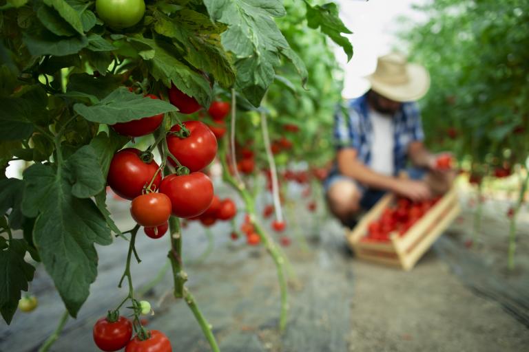 finantari agricultura